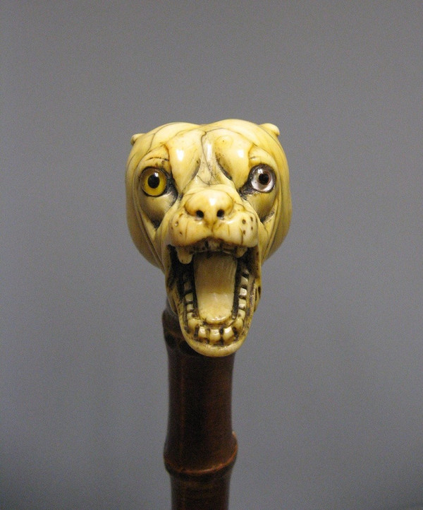 Canne à tête de chien.
