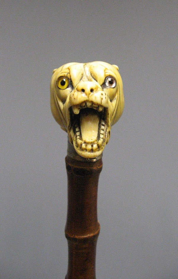 Canne à tête de chien.