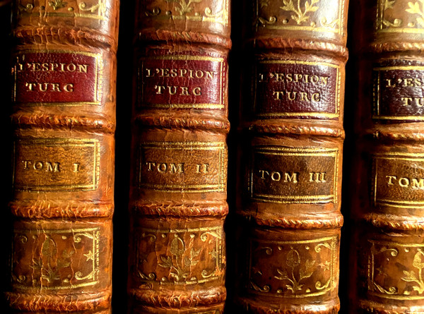 7beaux volumes in 12 . A Amsterdam 1756  :" l'Espion dans les Cours des Princes Chrétiens" , où Mémoires pour servir à l'Histoire de ce Siècle
