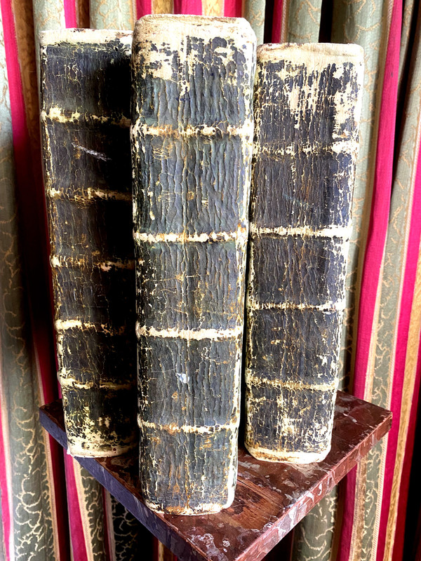 3 Werke im Folioformat aus Hirschleder, gedruckt 1612 in Köln von Stéphanus Gamonetus
