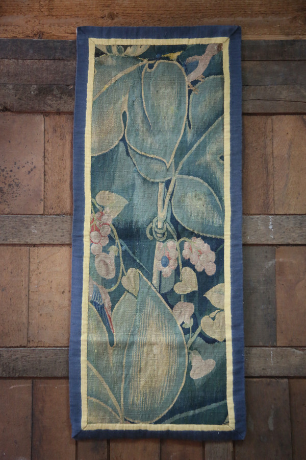 -Aristoloche, Southern Netherlands around 1530.