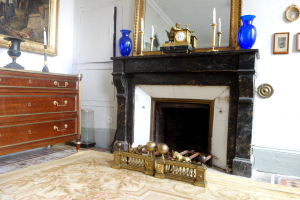 Paire De Grands Chenêts De Château En Bronze Ciselé d'époque Louis XVI - Modèle Aux Lions