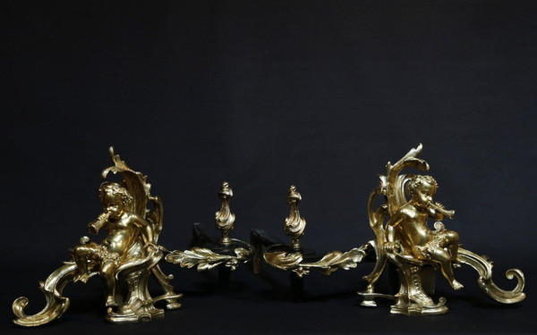 Paire De Chenets En Bronze Ciselé Et Doré 18th Century