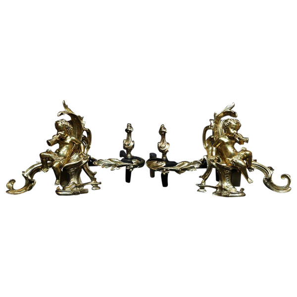 Paire De Chenets En Bronze Ciselé Et Doré 18th Century