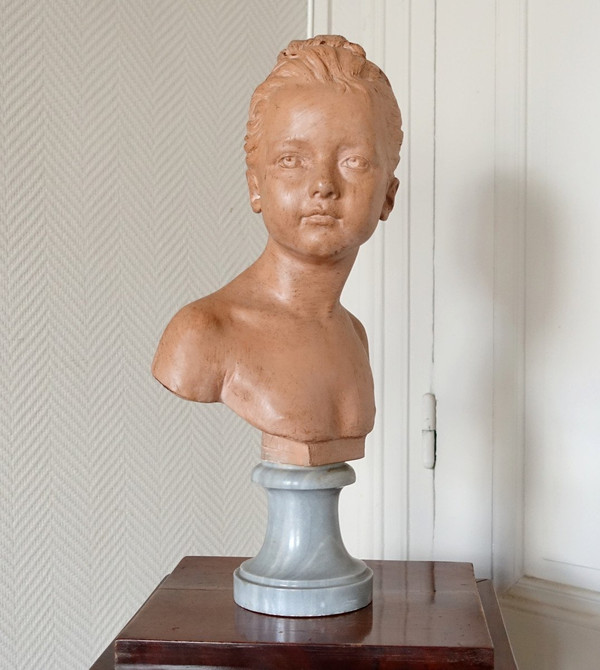 Bust Of Louise Brongniart After Houdon, Terracotta And Turquin Marble, Late 19th Century - 45cm