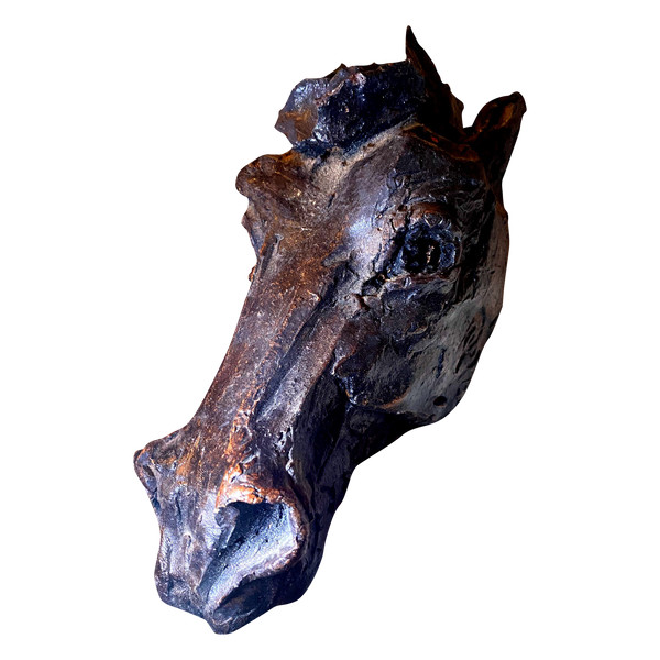 Horse head in expressive tinted terracotta signed by Raider Catrubuten from the 60s/70s