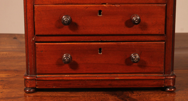 19th Century Mahogany Miniature Chest Of Drawers
