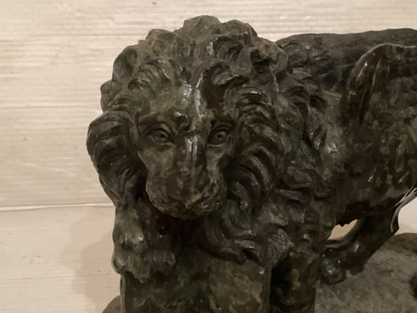 Coppia di leoni