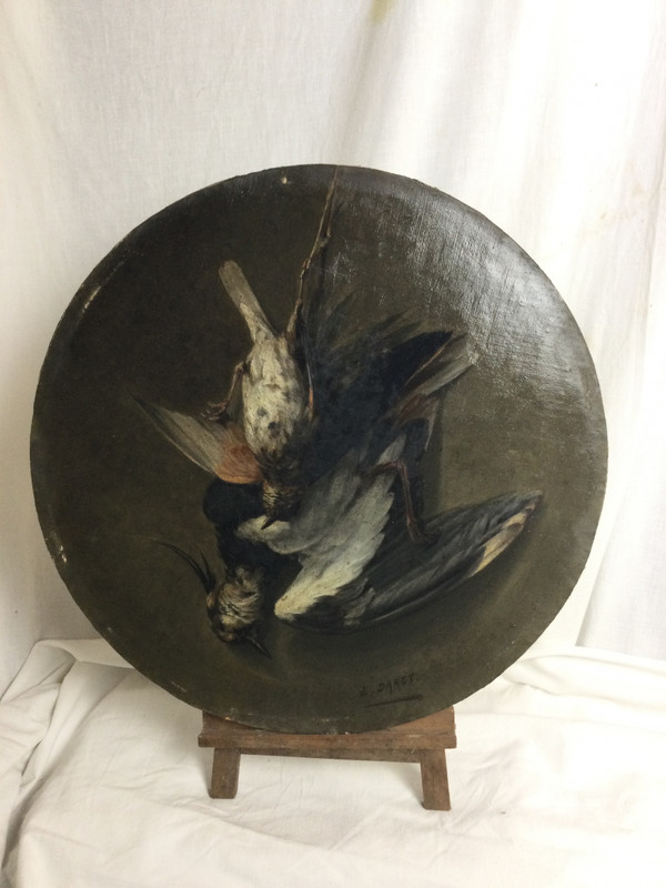 LOUIS DAREY Vogeltrophäe