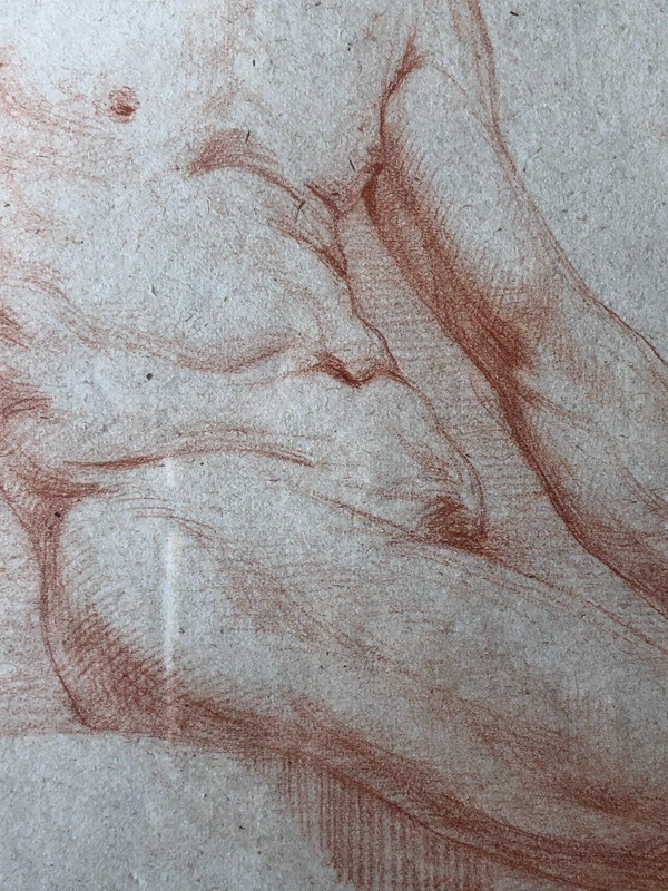 Ecole Napolitaine - Dessin académique  d'Homme Nue à La Sanguine - XIXème Siècle