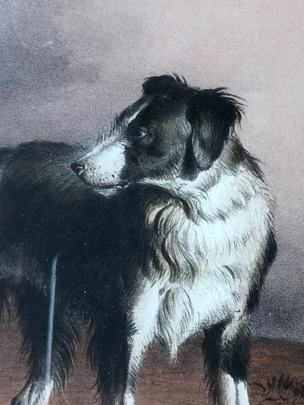 Thomas Sidney Cooper (1803-1902) - Le Repos - Aquarelle Gouaché