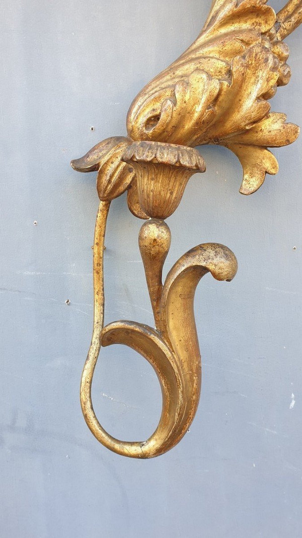 Lampada da parete grande in legno intagliato e dorato, Toscana XIX secolo