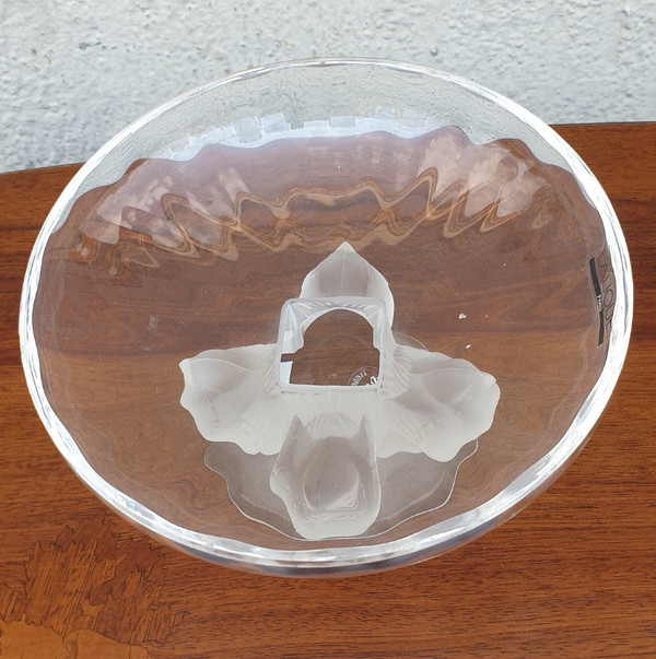 Lalique Frankreich, Nogent-Pokal, 20. Jahrhundert