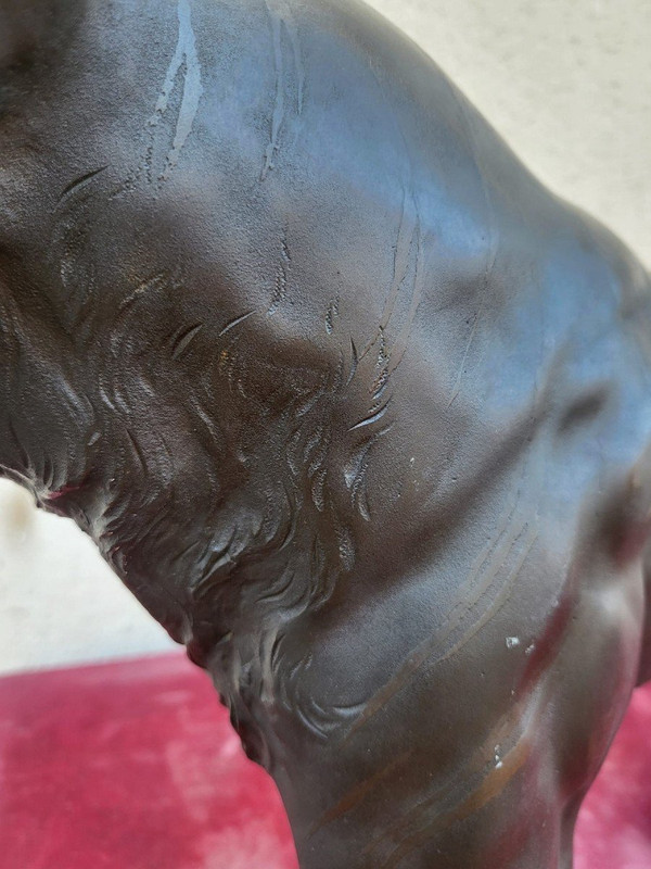Tigre, Bronzo Giappone, Era Meiji, XIX secolo