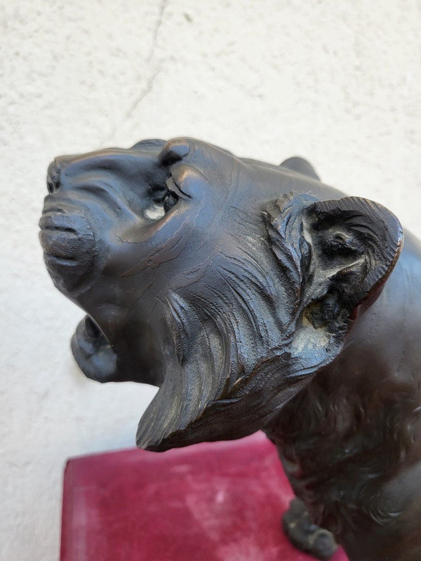 Tigre, Bronzo Giappone, Era Meiji, XIX secolo