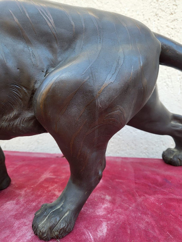 Tigre, Bronzo Giappone, Era Meiji, XIX secolo