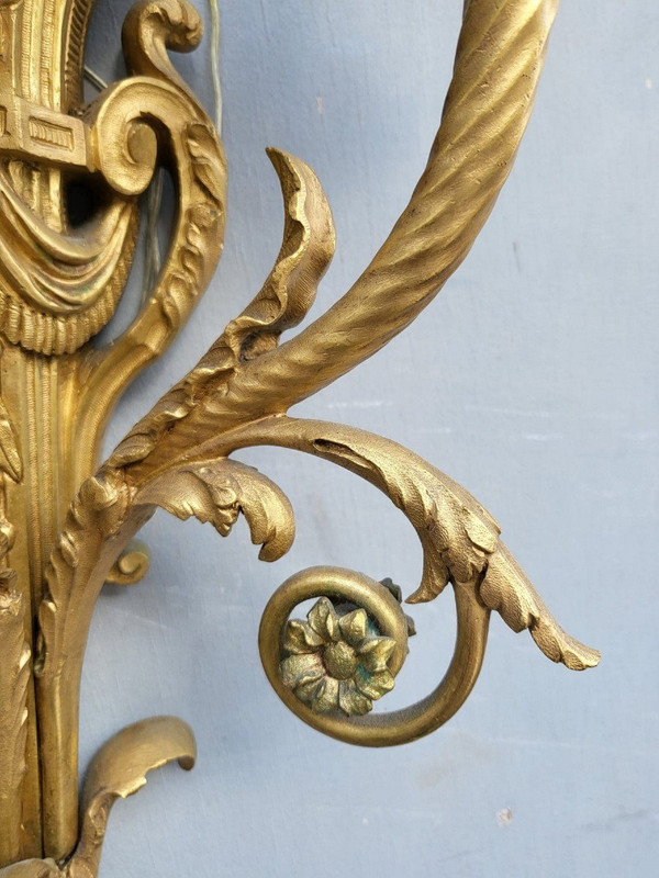 Paire d'Appliques En Bronze Doré Louis XVI, XIXème Siècle