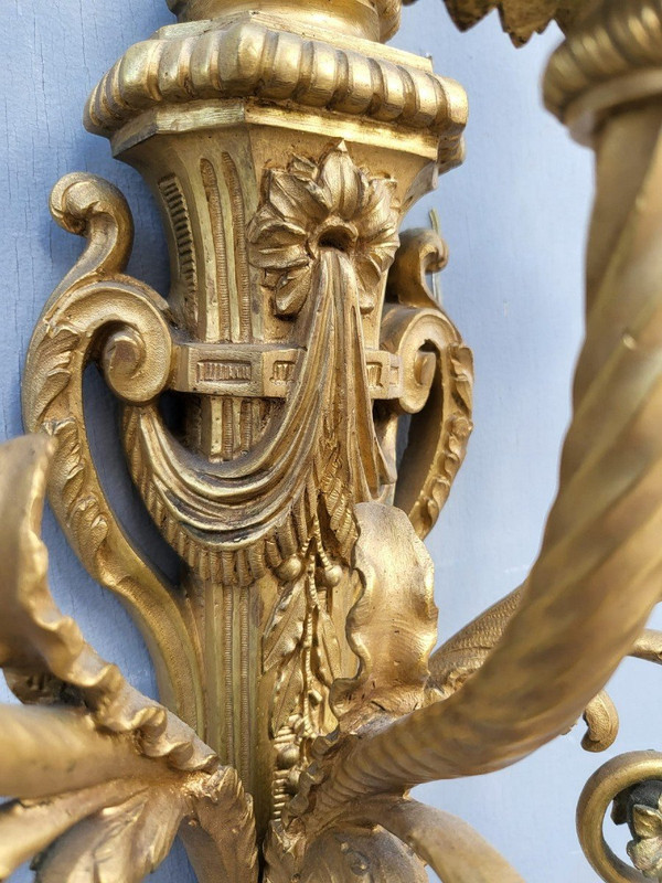 Paire d'Appliques En Bronze Doré Louis XVI, XIXème Siècle