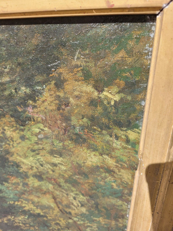 Ecole De Barbizon, Paysage De Sous-bois, XIXème Siècle