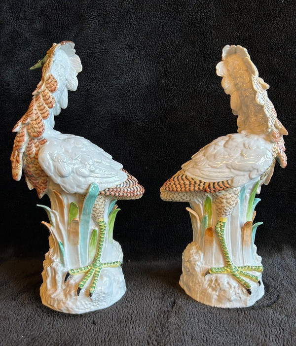 Pair Of Porcelain Birds - Meissen - Saxony - 19th century