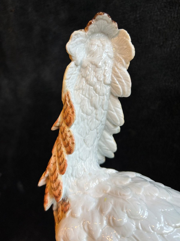 Pair Of Porcelain Birds - Meissen - Saxony - 19th century