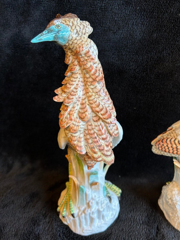 Pair Of Porcelain Birds - Meissen - Saxony - 19th century