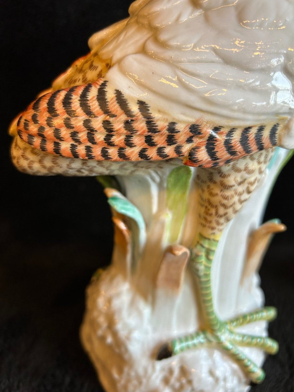 Pair Of Porcelain Birds - Meissen - Saxony - 19th century