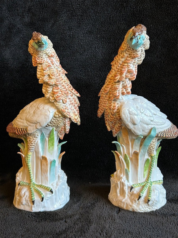 Pair Of Porcelain Birds - Meissen - Saxony - 19th century