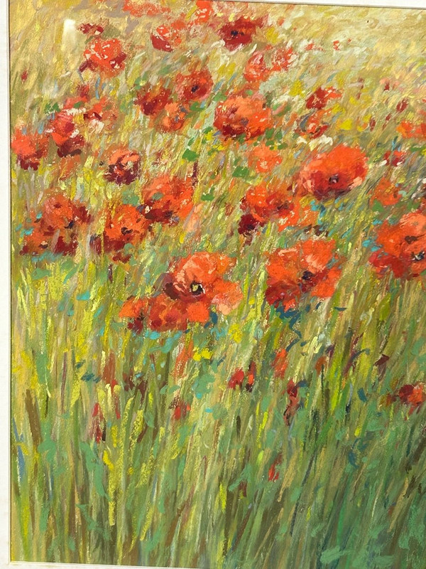Pastel -fields Of Poppies Signature to be determined About 1950