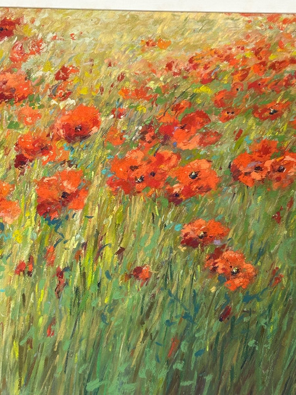 Pastel -fields Of Poppies Signature to be determined About 1950