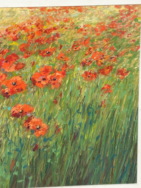 Pastel -fields Of Poppies Signature to be determined About 1950