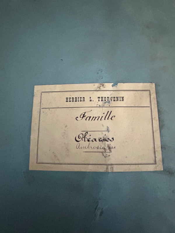 Rare Ensemble De Neuf Volumes D’herbier L Thouvenin Vers 1880-90