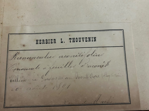 Rare Ensemble De Neuf Volumes D’herbier L Thouvenin Vers 1880-90