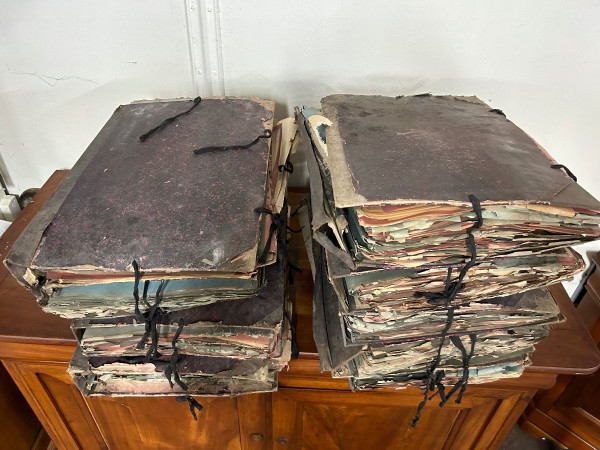 Rare Ensemble De Neuf Volumes D’herbier L Thouvenin Vers 1880-90