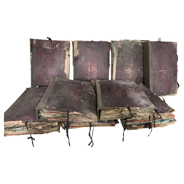 Rare Ensemble De Neuf Volumes D’herbier L Thouvenin Vers 1880-90