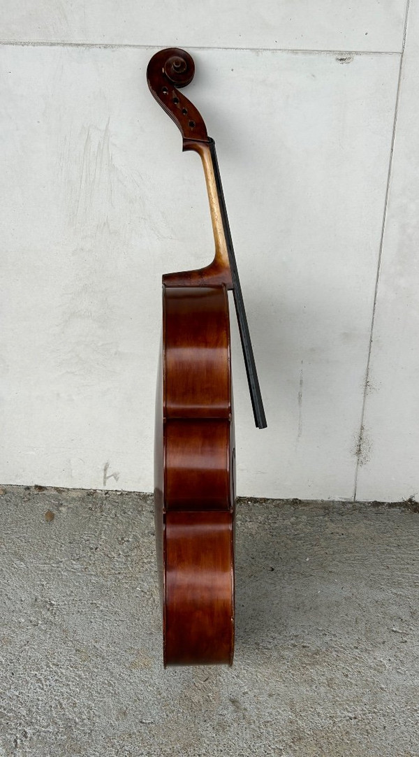 Antique Companion Cello - Violin - H 113 Cm