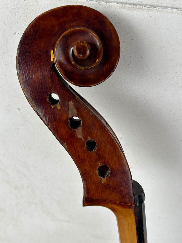 Antique Companion Cello - Violin - H 113 Cm