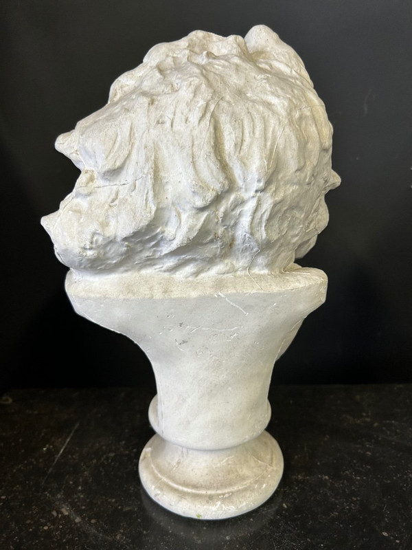 Rude François ( 1784-1855) Dopo la testa di un antico gallo Busto in gesso H 39 cm
