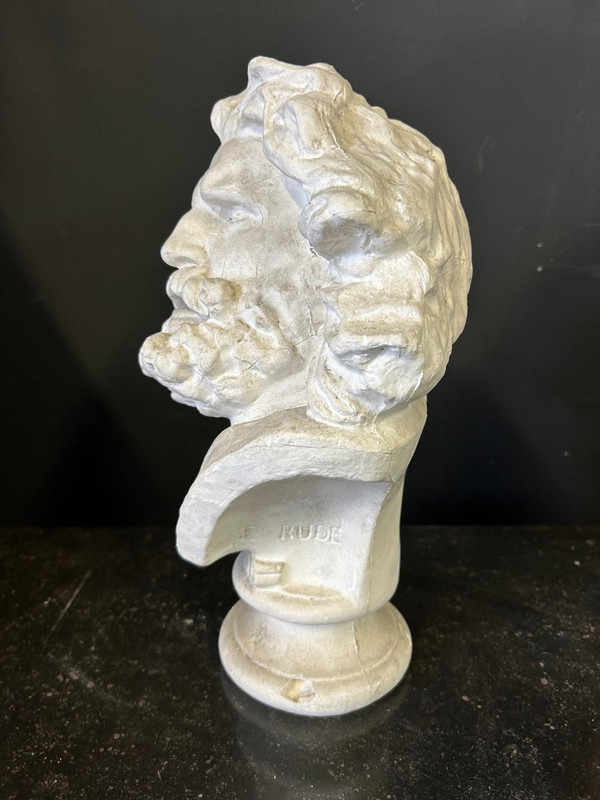 Rude François ( 1784-1855) Dopo la testa di un antico gallo Busto in gesso H 39 cm