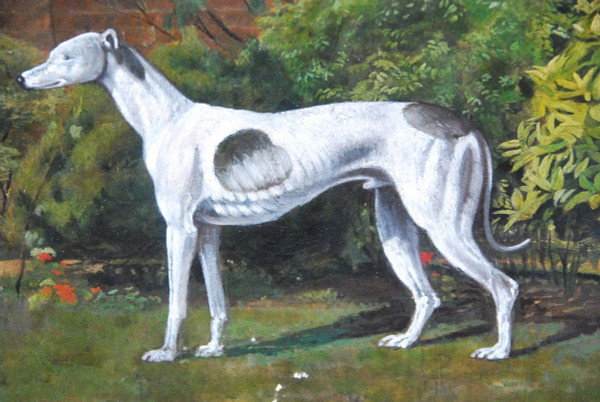Whippet greyhound, English school 19th century