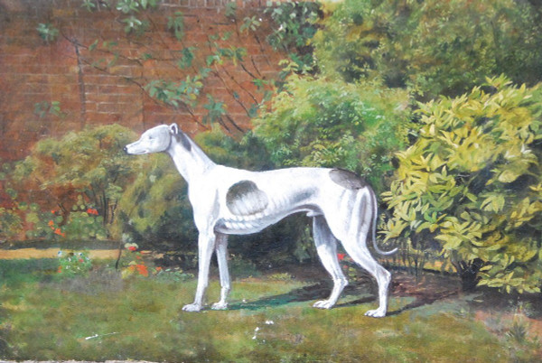 Whippet greyhound, English school 19th century