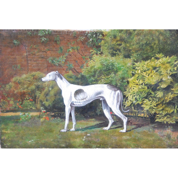 Lévrier Whippet , école Anglaise XIXe siècle