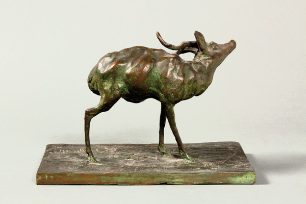Antelope scratching itself. Animal bronze by Guido Righetti – (1875-1958)