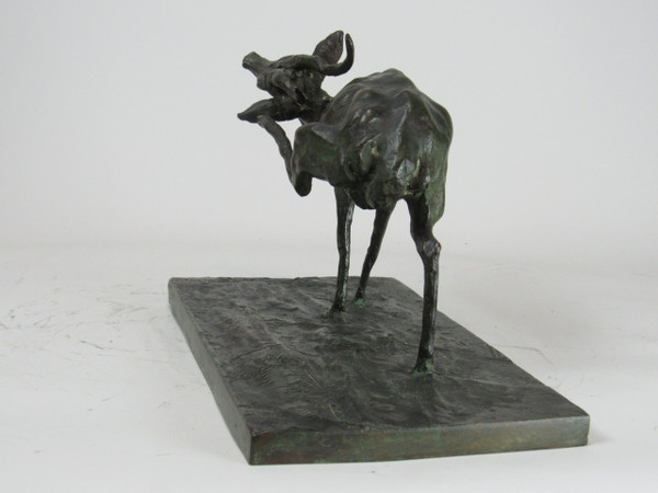 Antelope scratching itself. Animal bronze by Guido Righetti – (1875-1958)