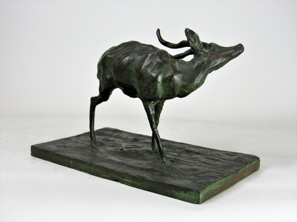 Antelope scratching itself. Animal bronze by Guido Righetti – (1875-1958)