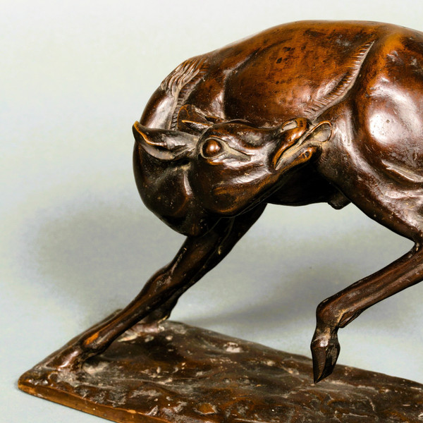 Giovane antilope di Sirio Tofanari
