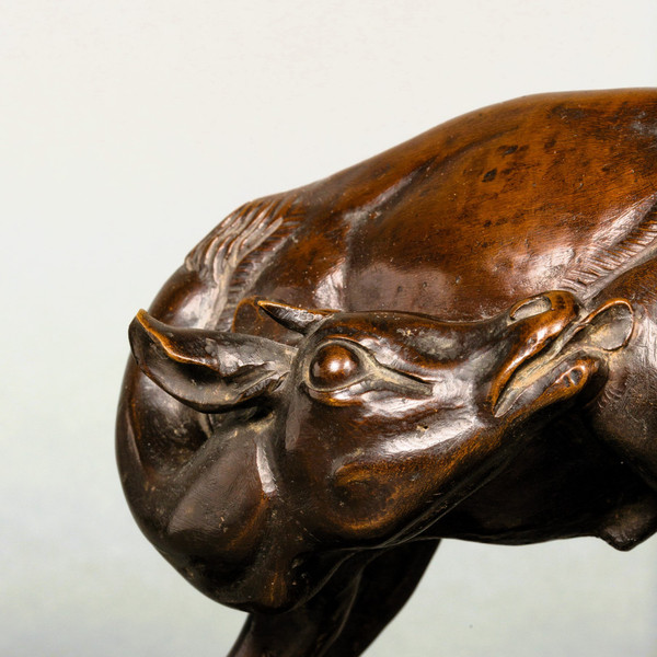 Giovane antilope di Sirio Tofanari