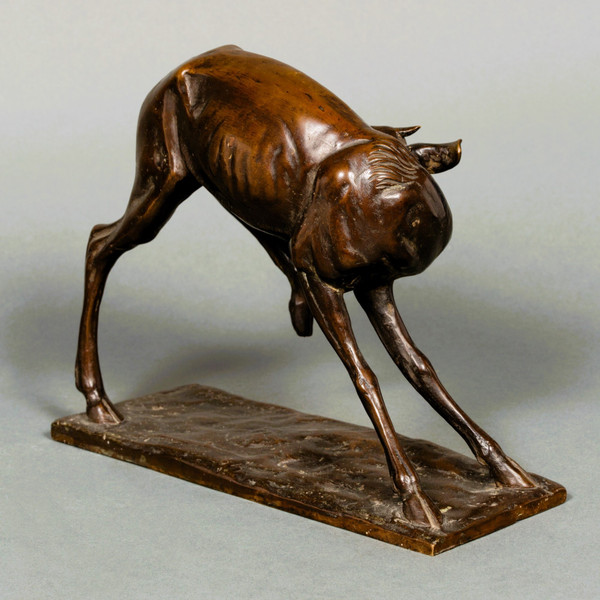 Giovane antilope di Sirio Tofanari