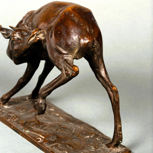 Giovane antilope di Sirio Tofanari