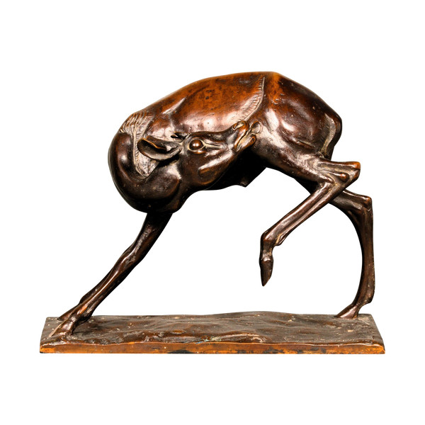 Giovane antilope di Sirio Tofanari